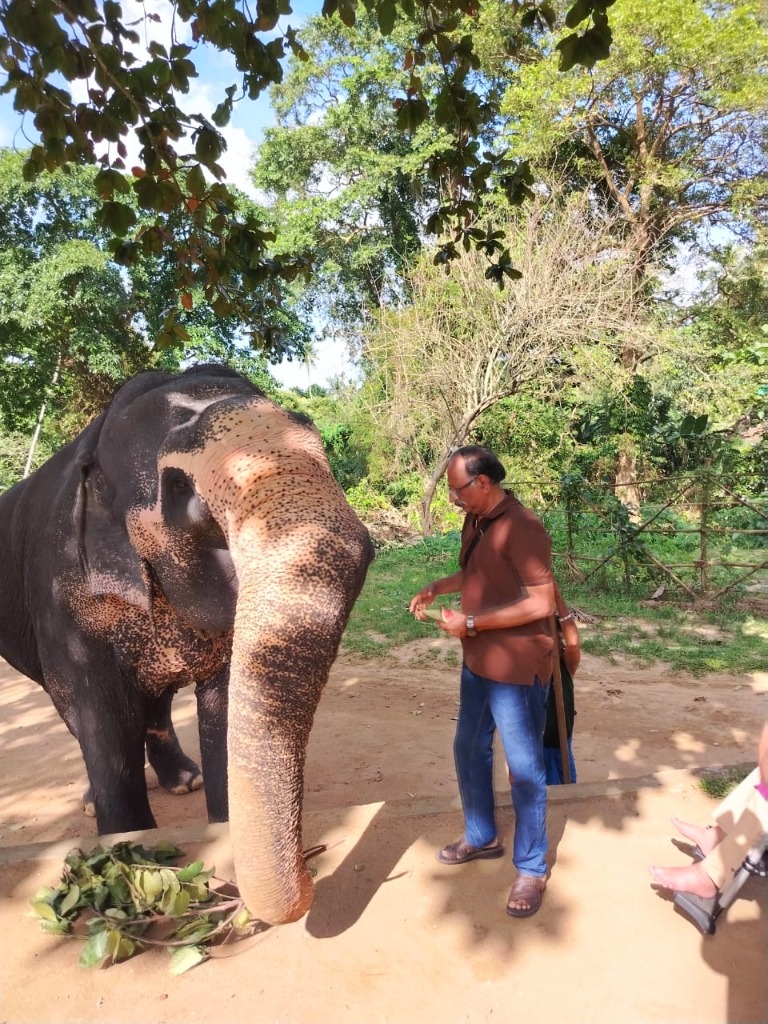 Joyful moments at Elephant Orphanage