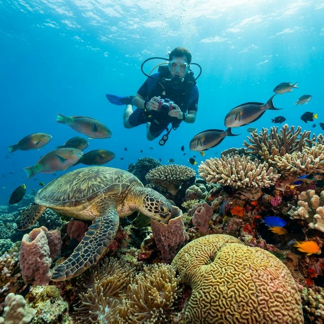 Hikkaduwa Scuba Diving: Exploring Sri Lanka's Coral Reefs